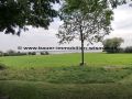 Seeblick 