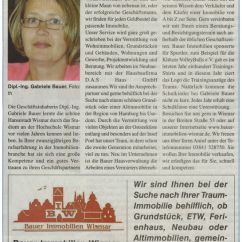 2009-07-12-Veroeffentlichung-Blitzzeitung.jpg