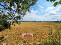Ausblick 