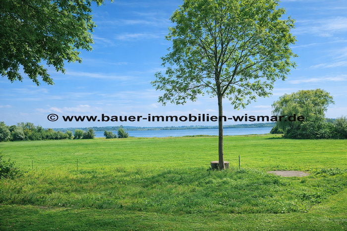 Real Estate Title Image Background